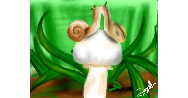 Schnecke-Zeichnung von Sophie_draw24