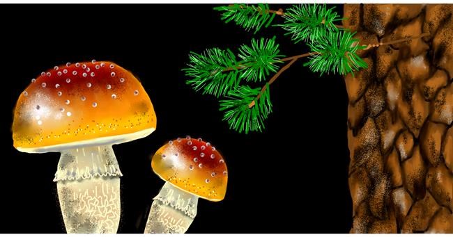 Drawing of Mushroom by Eclat de Lune