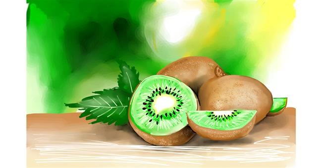 Drawing of Kiwi fruit by Rose rocket