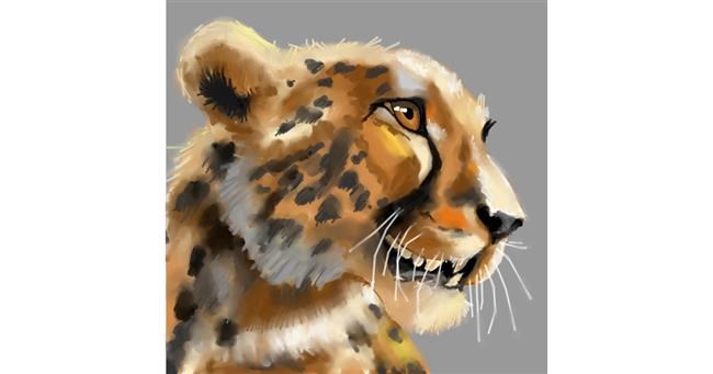 Drawing of Cheetah by Mell 🌠