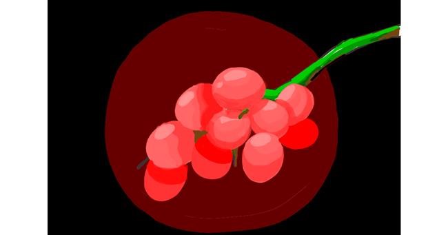 Trauben-Zeichnung von Redd_Pandaii