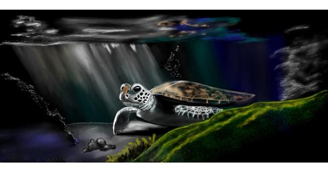Drawing of Sea turtle by Chaching