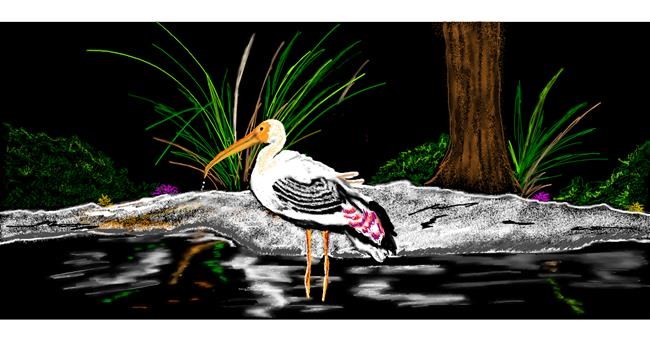 Drawing of Stork by Chaching
