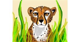 Drawing of Cheetah by Darta