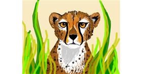 Drawing of Cheetah by Darta