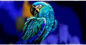 Papiga - autor: Eclat de Lune