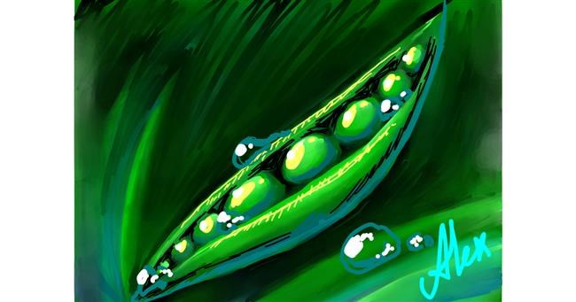 Drawing of Peas by Alex