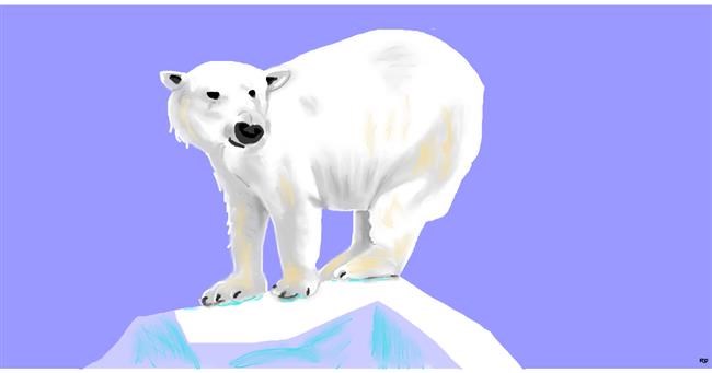 Drawing of Polar Bear by Swimmer 