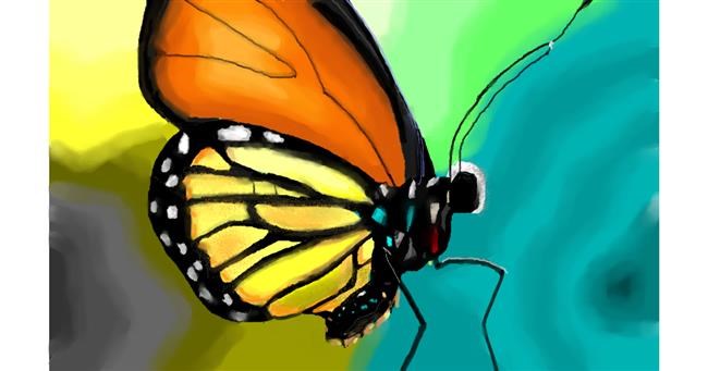 Leptir - autor: Herbert