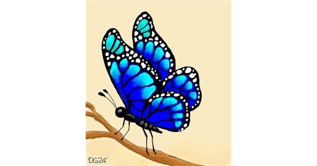 Drawing of Butterfly by GreyhoundMama