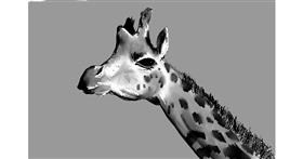 Giraffe-Zeichnung von Rak