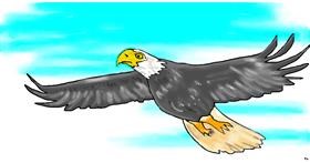 Drawing of Eagle by Swimmer 