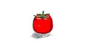 Drawing of Tomato by Hannah