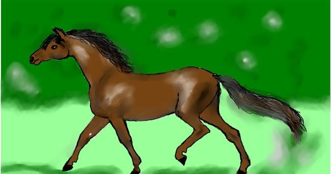 Drawing of Horse by Maggy