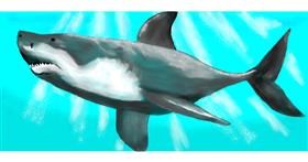 Drawing of Shark by Debidolittle