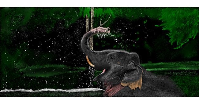 Drawing of Elephant by Chaching