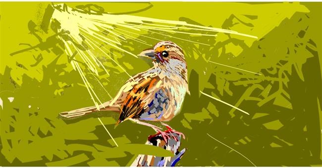 Drawing of Sparrow by Nightmare
