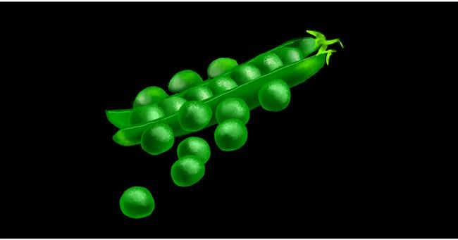 Drawing of Peas by Eclat de Lune