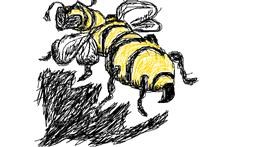 Drawing of Bee by Anonymous