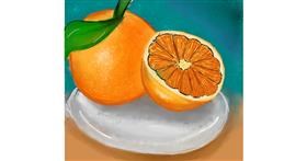 Drawing of Orange by Zeemal