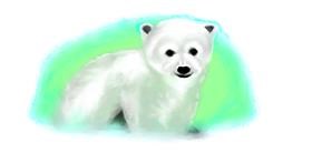 Drawing of Polar Bear by Debidolittle