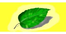 Drawing of Leaf by DebbyLee