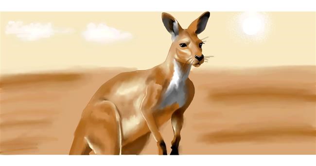 Drawing of Kangaroo by Annie
