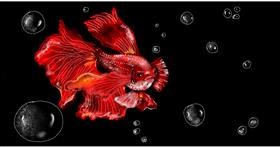 Drawing of Goldfish by Eclat de Lune