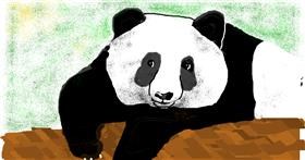 Drawing of Panda by Banana