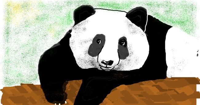 Drawing of Panda by Banana