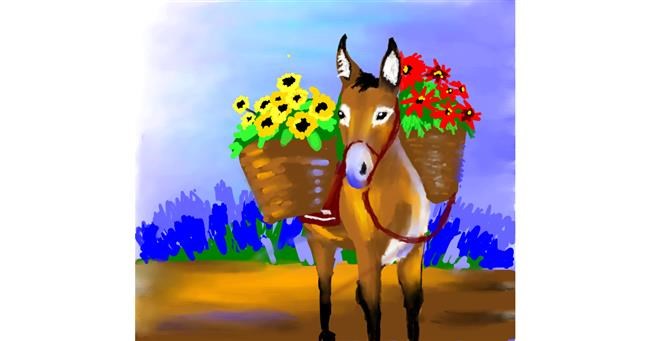 Drawing of Donkey by 🌏rhythm💐