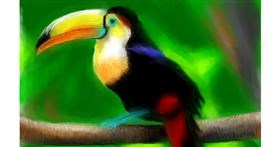 Drawing of Toucan by Herbert