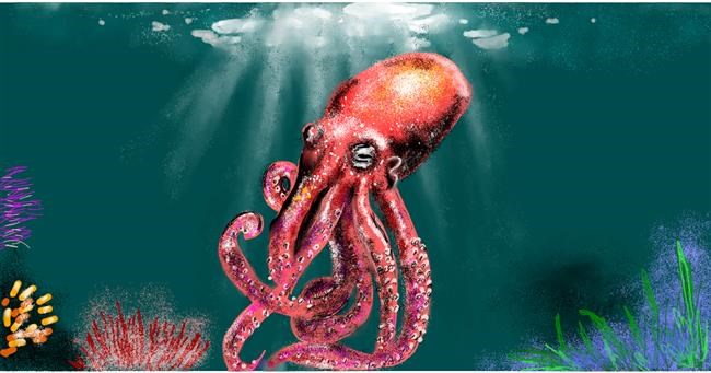 Drawing of Octopus by Eclat de Lune