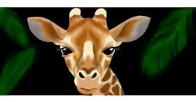 Drawing of Giraffe by Annie