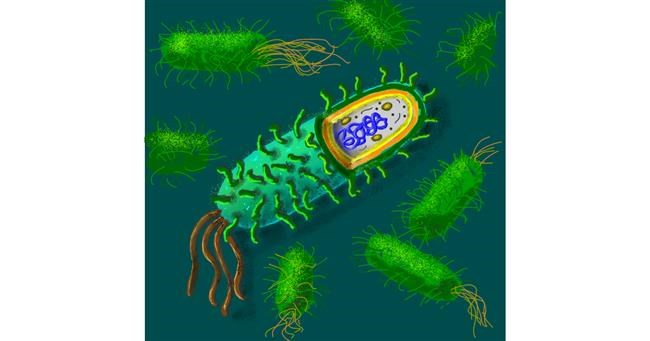 Bakterium-Zeichnung von Andromeda