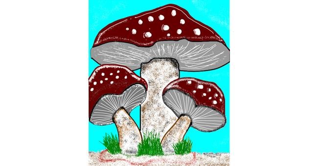 Drawing of Mushroom by 😋