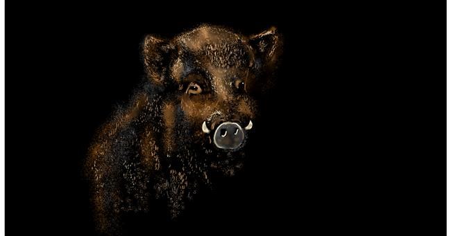 Wildschwein-Zeichnung von Eclat de Lune