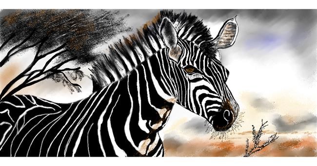 Zebra-Zeichnung von Chaching