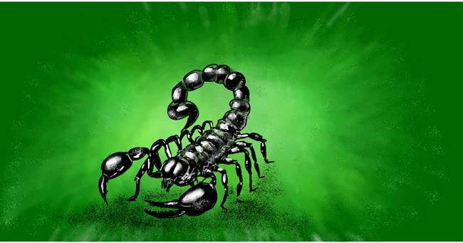 Drawing of Scorpion by Eclat de Lune