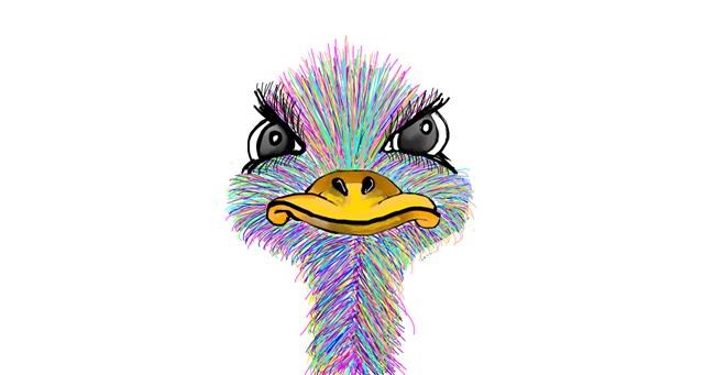 Drawing of Ostrich by Bri