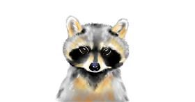 Drawing of Raccoon by Cec