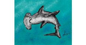 Drawing of Shark by Nonuvyrbiznis 