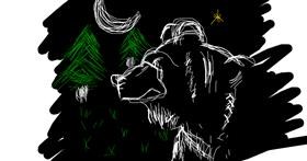 Medvjed - autor: SmallWorld