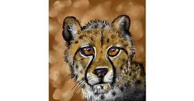 Gepard - autor: Leah