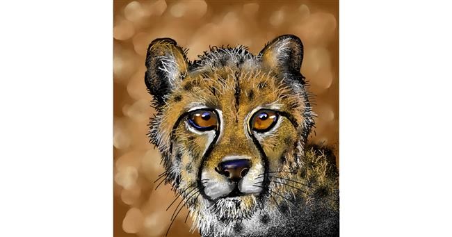 Gepard - autor: Leah