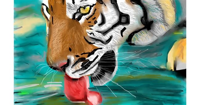 Tigar - autor: Herbert