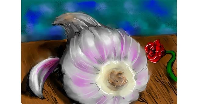 Knoblauch-Zeichnung von 🌹🖌𝑅oses-𝕽-𝑅ed