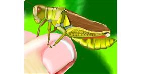 Drawing of Grasshopper by IThinkWereDoomed