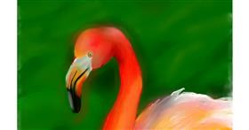 Flamingo - autor: Unknown