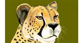 Gepard - autor: Tim